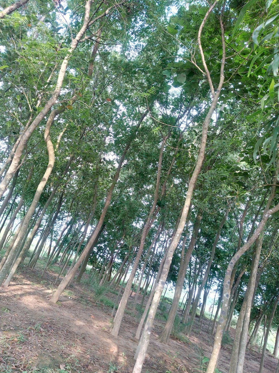 Rustikale Landhochzeit